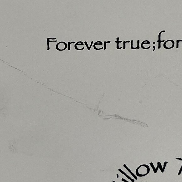 Willow Tree Susan Lordi Friendship Memory Box Forever True Demdaco 2001 - Picture 9 of 14